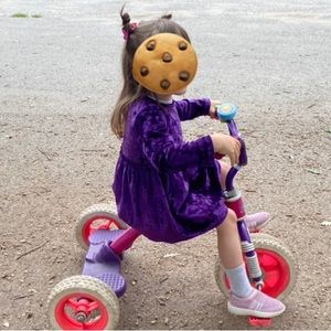 3T Purple Velvety Dress (likely vintage)